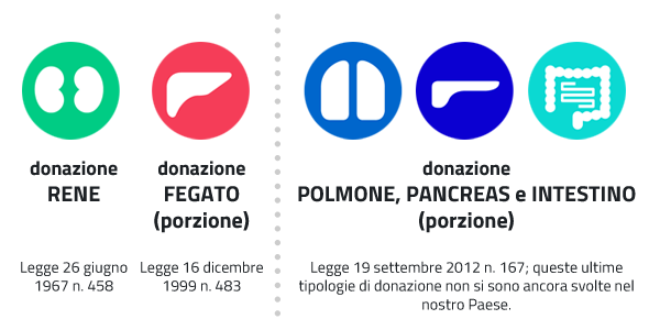 Donazione degli organi in italia