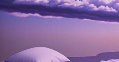 Sogni