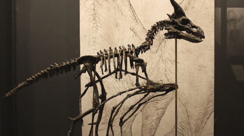 The little dragon Fonte: Cornelius Rödder Fonte: https://museumlollandfalster.dk/en/museum-obscurum/gaa-paa-opdagelse/cornelius-s-c-rodder/