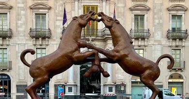 Fighting Horses, tra arte e ironia a Catania